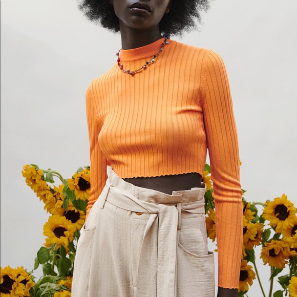 Zara | Tops | Nwt Zara Mock Neck Crop Top Orange | Poshmark